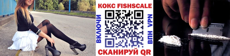 КОКАИН FishScale  Купить закладки  Змеиногорск 