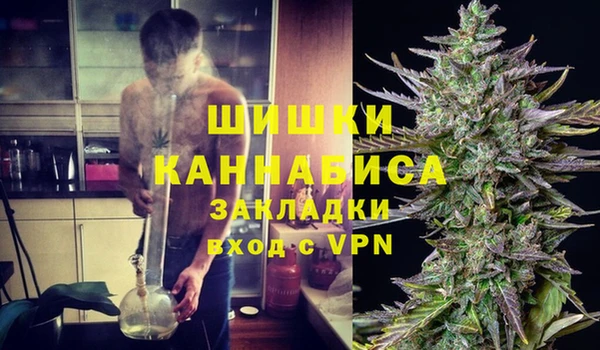 первитин Каменногорск