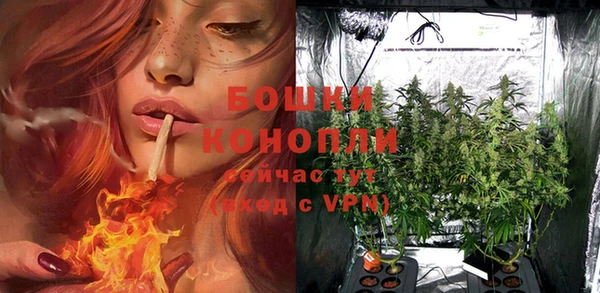 первитин Каменногорск