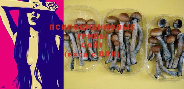 MDMA Premium VHQ Каменка