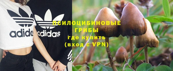 MDMA Premium VHQ Каменка