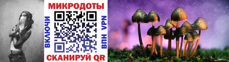 Псилоцибиновые грибы Magic Shrooms Змеиногорск