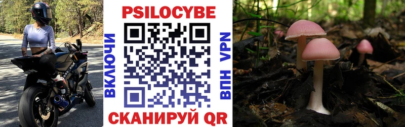 Купить закладки  Змеиногорск  Псилоцибиновые грибы мицелий 
